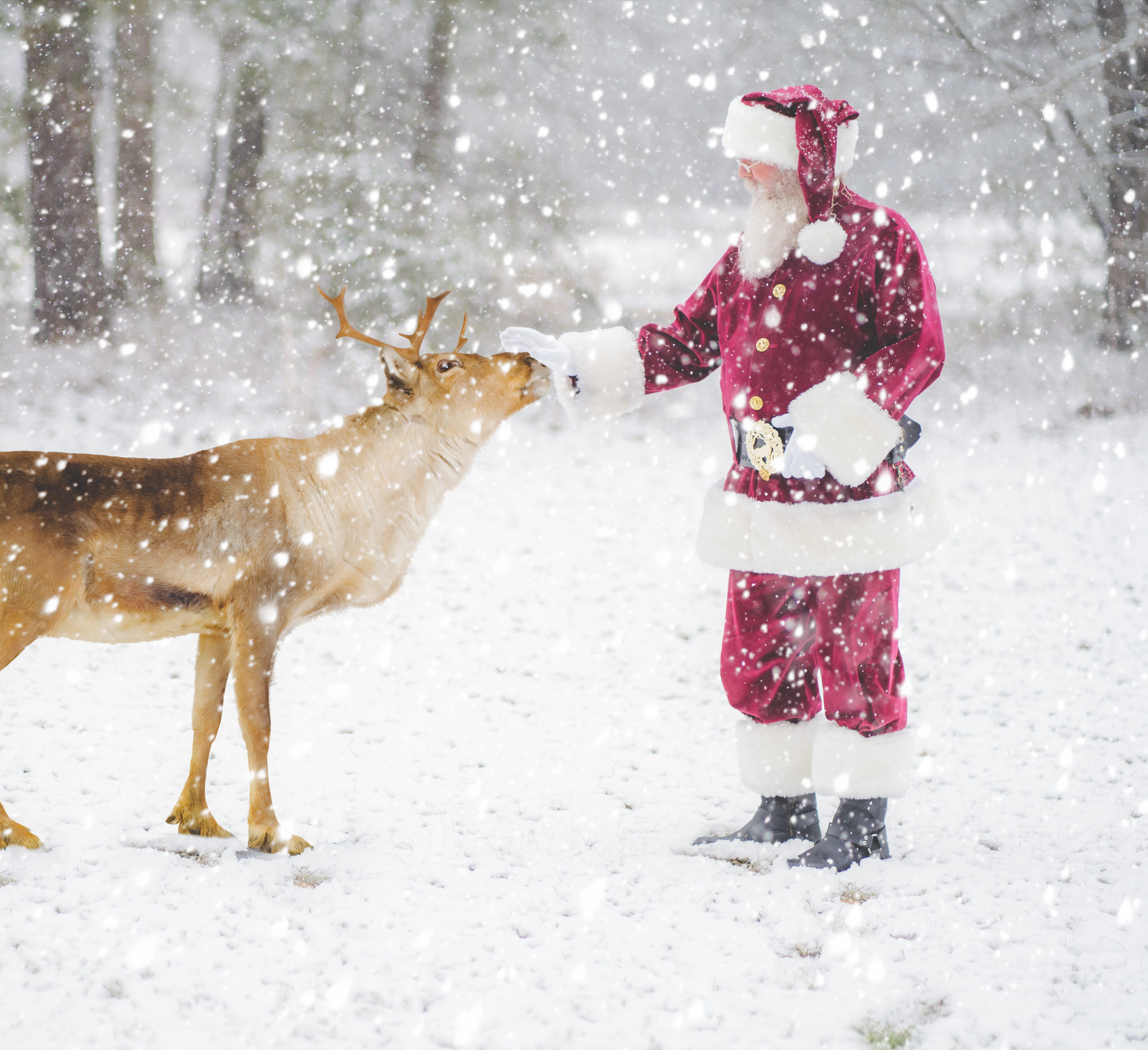 GA Santa Phillip with a Reindeer