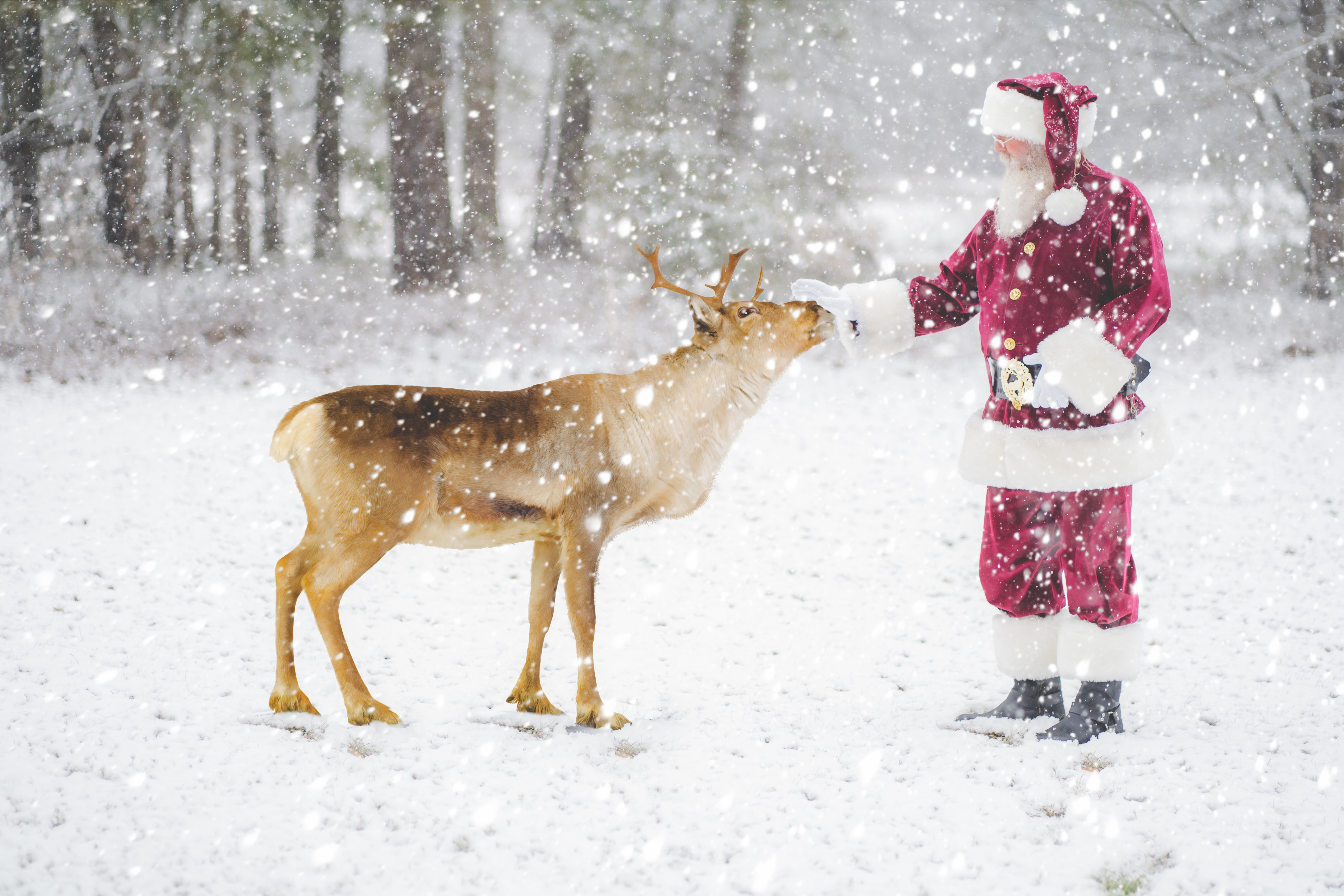 Santa Claus